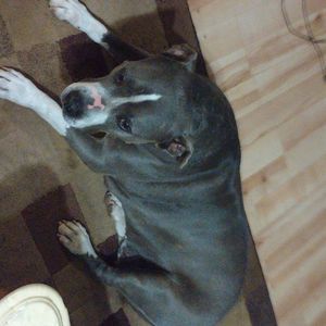 Meet your Posher, Loretta